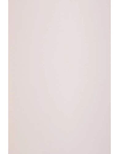 Netuno 10x Pastell-Pink Natur-Papier DIN A4 210 x 297 mm 120g Keaykolour Pastel Pink Bastelpapier A4 Hellrosa hochwertige Qualität für Druckaufgaben Einladungs-Karten Hochzeits-Karten Dankeskarten von Netuno