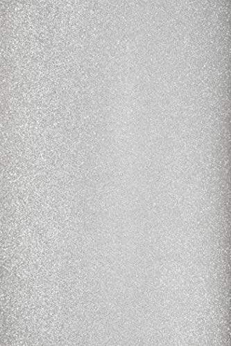 10 x Silber Glitzer Papier selbstklebend DIN A4 210×297 mm 150g Aster Glitter farbiges Karton-Papier mit Glitzer Effekt Dekorpapier Silber glänzend Tonpapier für Deko-Projekte Geschenkverpackung von Netuno