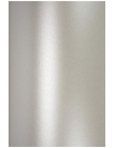 Netuno 100x Bastelkarton Perlmutt-Silber DIN A4 210x 297 mm 250g Aster Metallic Silver Effektkarton Silber zum Basteln Pearlkarton Perl-Glanz-Karton Perlmuttglanz silbernes Papier metallisch glänzend von Netuno