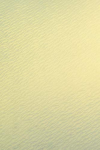 Netuno 100x Bastelkarton Perlmutt-Vanille DIN A4 210x 297 mm 250g Aster Metallic Gold Ivory Sea Pearlkarton Bastelpapier metallisch glänzend mit Muster Glanzpapier zum Basteln Schimmerpapier von Netuno