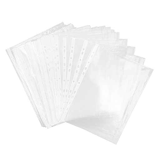100 x Prospekthüllen DIN A4 Plastikhülle Klarsichthülle Klarsichtfolie PP-Folie farblos transparent matt gelocht zum Schutz von Papier Dokumente für Hefter Ordner von Netuno