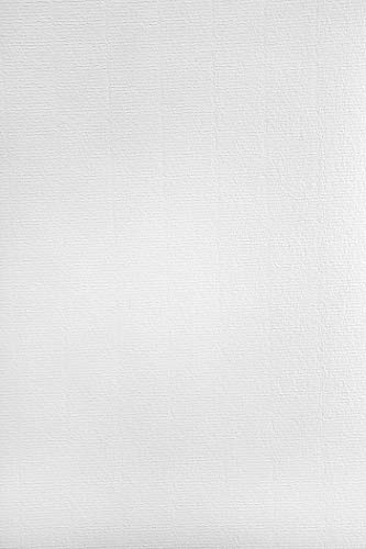 Netuno 100x Weiß Bastelkarton gerippt mit Wasserzeichen DIN A4 297x 210mm 220g Aster Laid White Ausstattungs-Karton hochwertig Effektkarton gerippt Motivkarton Designkarton Urkundenkarton weiß von Netuno