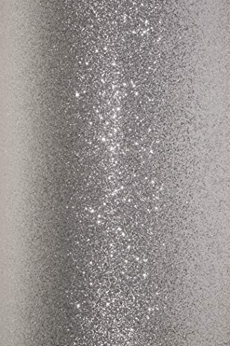 25 x Silber Glitzer Karton DIN A4 210×297 mm 210g Aster Glitter Karton Glitzer Effekt-Karton Silber Dekor-Karton mit Glitter für Scrapbooking DIY Kunst und Handwerk von Netuno