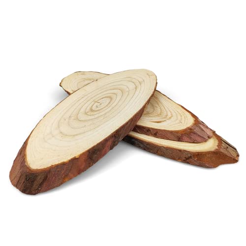 3x Holzscheiben Baumscheiben Deko Holzscheiben 16-23 cm oval ohne Loch Naturholz ideal für Dekoration Handwerk DIY zum Basteln Bemalen Weihnachten Hochzeit 3x Holzscheiben Baumscheiben Deko Holzscheiben 16-23 cm oval ohne Loch Naturholz ideal für Dekoration Handwerk DIY zum Basteln Bemalen Weihnachten Hochzeit von Netuno