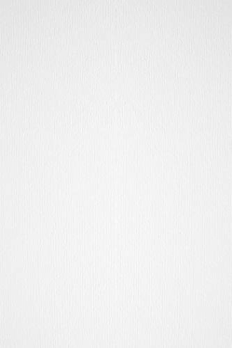 Netuno 50x Struktur-Papier Weiß DIN A4 21 x 29,7 cm 160g Acquerello Bianco Bastelpapier beidseitig filzmarkiert mit Linienstruktur bedruckbar strukturiertes Papier a4 zum Basteln von Netuno