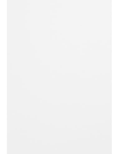Netuno 10 Blatt Fotokarton Weiß DIN A4 21 x 29,7 cm 300g Malmero Blanc farbiger Bastelkarton A4 Farbkarton bunt für Menü-Karten Einladungen Kreativkarton dickes Bastelpapier Naturkarton Netuno 10 Blatt Fotokarton Weiß DIN A4 21 x 29,7 cm 300g Malmero Blanc farbiger Bastelkarton A4 Farbkarton bunt für Menü-Karten Einladungen Kreativkarton dickes Bastelpapier Naturkarton von Netuno