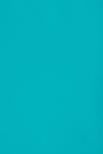 Netuno 10 x Tonkarton DIN A3 297x 420 mm Blau 250g Burano Azzurro Reale Bastelkarton einfarbig Fotokarton A3 bunt durchgefärbt Feinpapier DIY Bogen Kreativ-Karton farbig buntes Tonpapier von Netuno