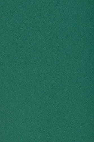 Netuno 10 x Tonkarton DIN A3 297x 420 mm Dunkelgrün 250g Burano English Green Bastelkarton einfarbig Fotokarton A3 bunt durchgefärbt Feinpapier DIY Bogen Kreativ-Karton farbig buntes Tonpapier von Netuno