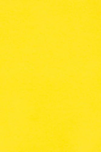 Netuno 10 x Tonkarton DIN A3 297x 420 mm Gelb 250g Burano Giallo Zolfo Bastelkarton einfarbig Fotokarton A3 bunt durchgefärbt Feinpapier DIY Bogen Kreativ-Karton farbig buntes Tonpapier von Netuno