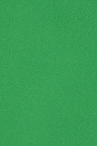 Netuno 10 x Tonkarton DIN A3 297x 420 mm Grün 250g Burano Verde Bandiera Bastelkarton einfarbig Fotokarton A3 bunt durchgefärbt Feinpapier DIY Bogen Kreativ-Karton farbig buntes Tonpapier von Netuno