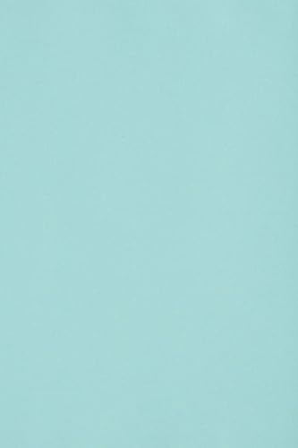 Netuno 10 x Tonkarton DIN A3 297x 420 mm Hellblau 250g Burano Azzurro Bastelkarton einfarbig Fotokarton A3 bunt durchgefärbt Feinpapier DIY Bogen Kreativ-Karton farbig buntes Tonpapier Netuno 10 x Tonkarton DIN A3 297x 420 mm Hellblau 250g Burano Azzurro Bastelkarton einfarbig Fotokarton A3 bunt durchgefärbt Feinpapier DIY Bogen Kreativ-Karton farbig buntes Tonpapier von Netuno