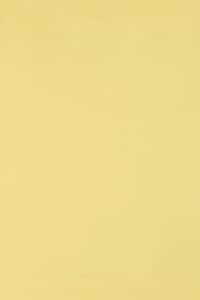 Netuno 10 x Tonkarton DIN A3 297x 420 mm Hellgelb 250g Burano Giallo Bastelkarton einfarbig Fotokarton A3 bunt durchgefärbt Feinpapier DIY Bogen Kreativ-Karton farbig buntes Tonpapier Netuno 10 x Tonkarton DIN A3 297x 420 mm Hellgelb 250g Burano Giallo Bastelkarton einfarbig Fotokarton A3 bunt durchgefärbt Feinpapier DIY Bogen Kreativ-Karton farbig buntes Tonpapier von Netuno
