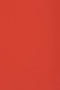 Netuno 10 x Tonkarton DIN A3 297x 420 mm Rot 250g Burano Rosso Scarlatto Bastelkarton einfarbig Fotokarton A3 bunt durchgefärbt Feinpapier DIY Bogen Kreativ-Karton farbig buntes Tonpapier von Netuno