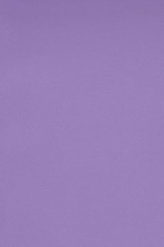 Netuno 10 x Tonkarton DIN A3 297x 420 mm Violett 250g Burano Violet Bastelkarton einfarbig Fotokarton A3 bunt durchgefärbt Feinpapier DIY Bogen Kreativ-Karton farbig buntes Tonpapier von Netuno
