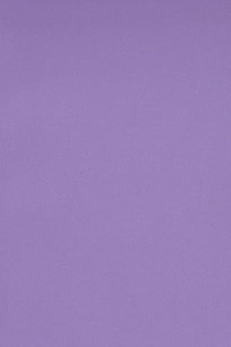Netuno 10 x Tonkarton DIN A3 297x 420 mm Violett 250g Burano Violet Bastelkarton einfarbig Fotokarton A3 bunt durchgefärbt Feinpapier DIY Bogen Kreativ-Karton farbig buntes Tonpapier Netuno 10 x Tonkarton DIN A3 297x 420 mm Violett 250g Burano Violet Bastelkarton einfarbig Fotokarton A3 bunt durchgefärbt Feinpapier DIY Bogen Kreativ-Karton farbig buntes Tonpapier von Netuno