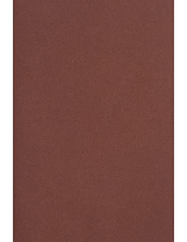 Netuno 10 x Tonkarton DIN A3 297x 420 mm Weinrot 250g Burano Bordeux Bastelkarton einfarbig Fotokarton A3 bunt durchgefärbt Feinpapier DIY Bogen Kreativ-Karton farbig buntes Tonpapier von Netuno