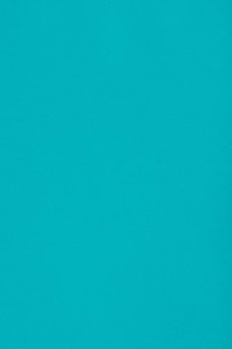 Netuno 10 x Tonkarton DIN SRA3 320x 450 mm Blau 250g Burano Azzurro Reale Bastelkarton bunt durchgefärbt Fotokarton zum Basteln und Gestalten Bogen groß Buntkarton Tonzeichenpapier Bastelpapier von Netuno