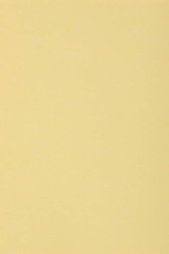 Netuno 10 x Tonkarton DIN SRA3 320x 450 mm Creme 250g Burano Camoscio Bastelkarton bunt durchgefärbt Fotokarton zum Basteln und Gestalten Bogen groß Buntkarton Tonzeichenpapier Bastelpapier von Netuno