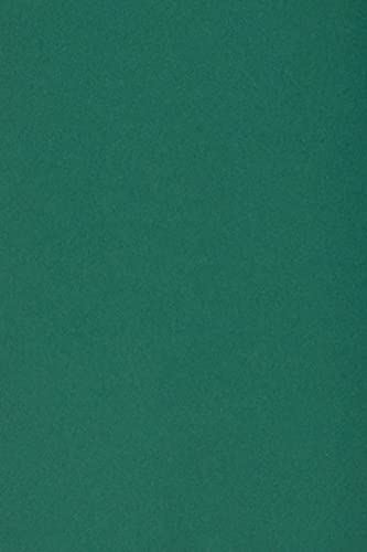 Netuno 10 x Tonkarton DIN SRA3 320x 450 mm Dunkelgrün 250g Burano English Green Bastelkarton bunt durchgefärbt Fotokarton zum Basteln und Gestalten Bogen groß Buntkarton Tonzeichenpapier Bastelpapier Netuno 10 x Tonkarton DIN SRA3 320x 450 mm Dunkelgrün 250g Burano English Green Bastelkarton bunt durchgefärbt Fotokarton zum Basteln und Gestalten Bogen groß Buntkarton Tonzeichenpapier Bastelpapier von Netuno