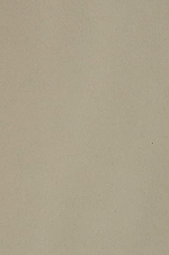 Netuno 10 x Tonkarton DIN SRA3 320x 450 mm Grau 250g Burano Pietra Bastelkarton bunt durchgefärbt Fotokarton zum Basteln und Gestalten Bogen groß Buntkarton Tonzeichenpapier Bastelpapier von Netuno