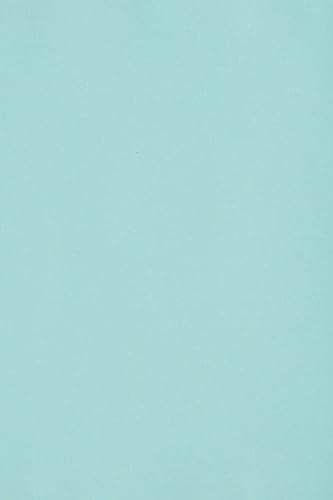 Netuno 10 x Tonkarton DIN SRA3 320x 450 mm Hellblau 250g Burano Azzurro Bastelkarton bunt durchgefärbt Fotokarton zum Basteln und Gestalten Bogen groß Buntkarton Tonzeichenpapier Bastelpapier von Netuno