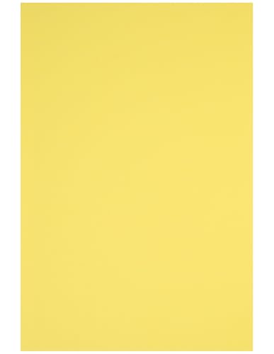 Netuno 100 Blatt Bastelkarton farbig Gelb DIN A4 21 x 29,7 cm 230g Rainbow farbiges Kopierpapier bedruckbar für Inkjet Laser Schule Büro Basteln Druckerpapier bunt Bastelpapier Tonpapier von Netuno