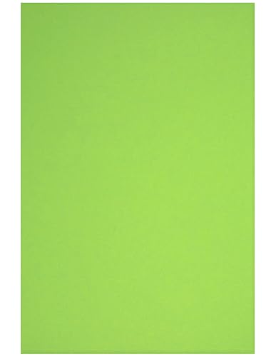 Netuno 100 Blatt Bastelkarton farbig Grün DIN A4 21 x 29,7 cm 230g Rainbow farbiges Kopierpapier bedruckbar für Inkjet Laser Schule Büro Basteln Druckerpapier bunt Bastelpapier Tonpapier von Netuno