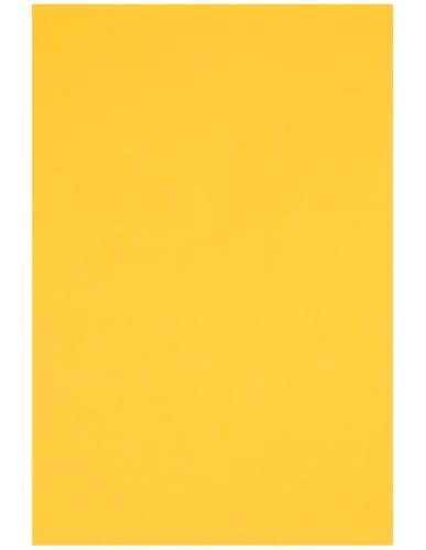 Netuno 100 Blatt Bastelkarton farbig Intensivgelb DIN A4 21 x 29,7 cm 230g Rainbow farbiges Kopierpapier bedruckbar für Inkjet Laser Schule Büro Basteln Druckerpapier bunt Bastelpapier Tonpapier Netuno 100 Blatt Bastelkarton farbig Intensivgelb DIN A4 21 x 29,7 cm 230g Rainbow farbiges Kopierpapier bedruckbar für Inkjet Laser Schule Büro Basteln Druckerpapier bunt Bastelpapier Tonpapier von Netuno