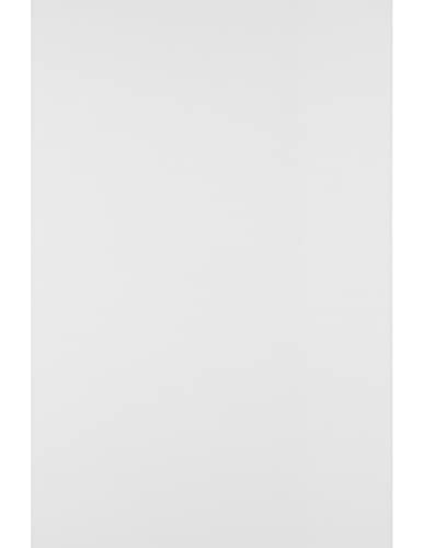 Netuno 100 Blatt Bristolkarton weiß DIN A3 297x 420 mm 250g Bastelkarton weiß Kartenkarton zum Basteln Malen Beschreiben Scrapbooking DIY-Bedarf Foto-Karton Tonzeichen-Karton weiß A3 von Netuno