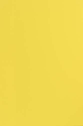 Netuno 100 Blatt Tonpapier Gelb DIN A4 210× 297 mm 115g Sirio Color Limone Bastel-Papier bedruckbar farbig A4 Ton-Zeichen-Papier für Hochzeit Geburtstag Taufe Weihnachten Einladungs-Karten von Netuno