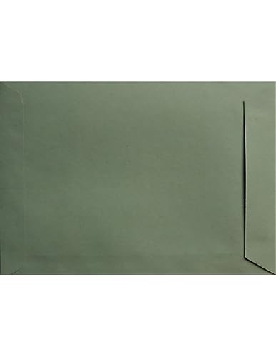 Netuno 100 Versandtaschen DIN C4 Grün 229 x 324 mm 110g Design Eko Briefumschläge a4 Öko Papier Umschläge Großbrief Versandtaschen C4 Papier Briefumschläge groß ohne Fenster Recycling Maxi Brief von Netuno