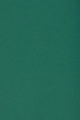 Netuno 100 x Tonkarton DIN A4 210x 297 mm Dunkelgrün 250g Burano English Green Bastel-Karton farbig Fotokarton A4 bunt Karton Hochzeit Taufe Weihnachten Geburtstag DIY-Karten buntes Tonpapier von Netuno