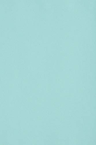 Netuno 100 x Tonkarton DIN A4 210x 297 mm Hellblau 250g Burano Azzurro Bastel-Karton farbig Fotokarton A4 bunt Karton Hochzeit Taufe Weihnachten Geburtstag DIY-Karten buntes Tonpapier von Netuno