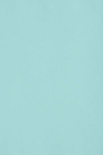 Netuno 100 x Tonkarton DIN A4 210x 297 mm Hellblau 250g Burano Azzurro Bastel-Karton farbig Fotokarton A4 bunt Karton Hochzeit Taufe Weihnachten Geburtstag DIY-Karten buntes Tonpapier Netuno 100 x Tonkarton DIN A4 210x 297 mm Hellblau 250g Burano Azzurro Bastel-Karton farbig Fotokarton A4 bunt Karton Hochzeit Taufe Weihnachten Geburtstag DIY-Karten buntes Tonpapier von Netuno