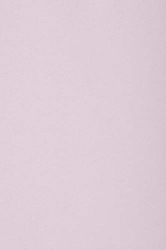 Netuno 100 x Tonkarton DIN A4 210x 297 mm Lila 250g Burano Lilla Bastel-Karton farbig Fotokarton A4 bunt Karton Hochzeit Taufe Weihnachten Geburtstag DIY-Karten buntes Tonpapier von Netuno