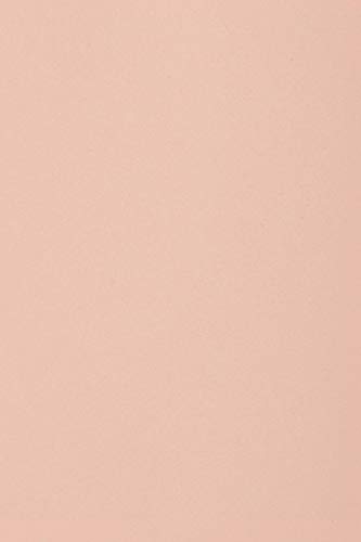 Netuno 100 x Tonkarton DIN A4 210x 297 mm Rosa 250g Burano Rosa Bastel-Karton farbig Fotokarton A4 bunt Karton Hochzeit Taufe Weihnachten Geburtstag DIY-Karten buntes Tonpapier von Netuno