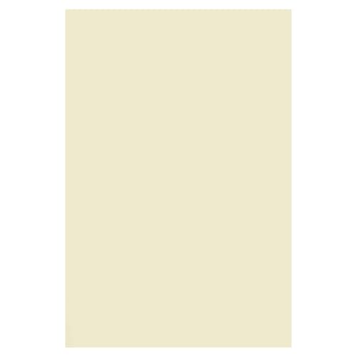 Netuno 100x Bastelkarton Elfenbein DIN A4 210 x 297 mm 250g Arena Smooth Ivory Ecru Naturkarton Kartenkarton für Visitenkarten Broschüren Prospekte Creme Fotokarton zum Basteln Tonkarton cremeweiß von Netuno