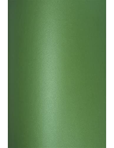 Netuno 100x Bastelkarton Weihnachts Grün DIN A4 21 x 29,7 cm 280g Aster Metallic Christmas Green Perlmuttkarton Grüntöne Effektkarton glänzend für Weihnachten Hochzeit Osterkarten Netuno 100x Bastelkarton Weihnachts Grün DIN A4 21 x 29,7 cm 280g Aster Metallic Christmas Green Perlmuttkarton Grüntöne Effektkarton glänzend für Weihnachten Hochzeit Osterkarten von Netuno