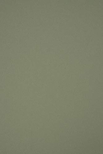 Netuno 100x Naturkarton Olivgrün DIN A4 210 x 297 mm 360g Materica Verdigris Bastel-Bogen ökologisch bunt Recycling Pappe Kreativkarton A4 für Deko-Projekte DIY zum Selbstgestalten Basteln Malen von Netuno