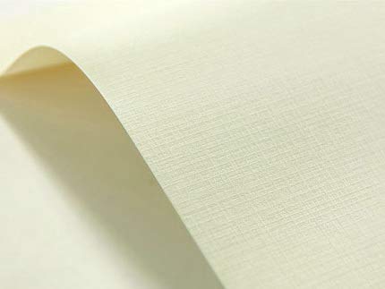 Netuno 100x Präge-Karton Creme Karomuster DIN A4 21 x 29,7 cm 246g Elfenbeinkarton Chamois Bastelkarton a4 strukturiert Kartenkarton cremefarben für Visitenkarten Einladungs-Karten Urkunden Diplome Netuno 100x Präge-Karton Creme Karomuster DIN A4 21 x 29,7 cm 246g Elfenbeinkarton Chamois Bastelkarton a4 strukturiert Kartenkarton cremefarben für Visitenkarten Einladungs-Karten Urkunden Diplome von Netuno