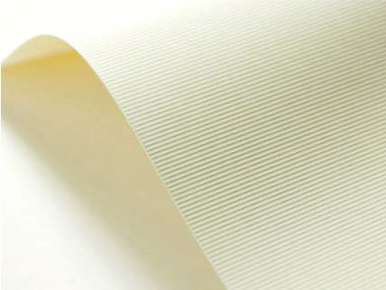 Netuno 100x Präge-Karton Creme gerippt DIN A4 21 x 29,7 cm 246g Elfenbeinkarton Chamois Bastelkarton Ecru strukturiert für Visitenkarten Einladungen Hochzeit Geburtstag von Netuno