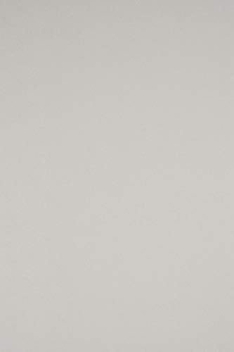 Netuno 100x Tonkarton Hell-Grau DIN A4 210 x 297 mm 170g Sirio Color Perla Feinkarton farbig Bastelkarton A4 Ton-Zeichen-Karton bunt hochwertig für DIY Projekte Visitenkarten von Netuno