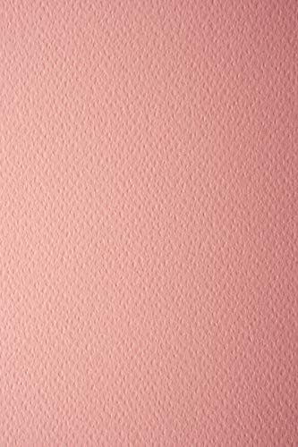 Netuno 100x Tonkarton Lachsfarbe einseitig strukturiert DIN A4 210x 297 mm 220g Prisma Salmone Bastelkarton Struktur hochwertig für Einladungen Visitenkarten Diplome Zeichnen Basteln von Netuno