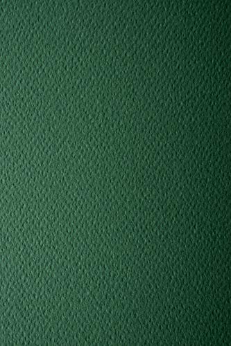 Netuno 100x Tonkarton Tannen-Grün einseitig strukturiert DIN A4 210x 297 mm 220g Prisma Pino Strukturkarton für Weihnachten Einladungen Visitenkarten Diplome zum Zeichnen Basteln Dekorieren von Netuno