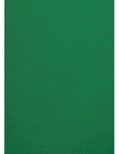 Netuno 100x farbiges Tonpapier Dunkel-Grün DIN A4 21 x 29,7 cm 120g Malmero Amazone grünes Bastelpapier farbig bedruckbar Farbpapier Kartonpapier Grün-Töne hochwertig für Broschüren Einladungen Poster Netuno 100x farbiges Tonpapier Dunkel-Grün DIN A4 21 x 29,7 cm 120g Malmero Amazone grünes Bastelpapier farbig bedruckbar Farbpapier Kartonpapier Grün-Töne hochwertig für Broschüren Einladungen Poster von Netuno