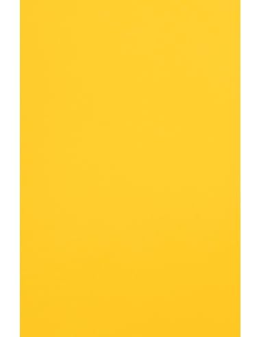 Netuno 100x farbiges Tonpapier Hell-Orange DIN A4 21 x 29,7 cm 120g Malmero Mangue Bastelpapier farbig bedruckbar Farbpapier Kartonpapier bunt hochwertig für Broschüren Einladungen Poster von Netuno