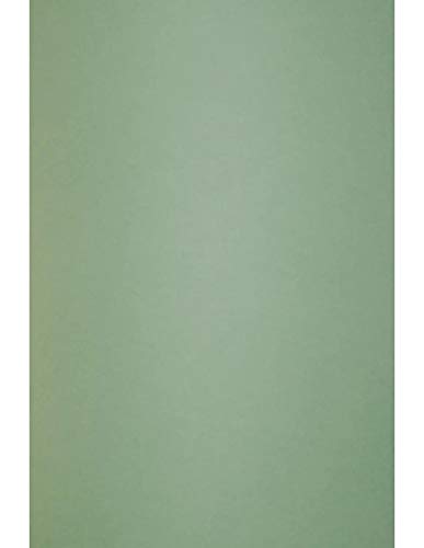 Netuno 10x Grün Premium Karton DIN A4 21 x 29,7 cm 300g Keaykolour Matcha Tea Naturkarton Kreativ Karten ökologisch zum Gestalten von Einladungs Hochzeits Geburtstags Netuno 10x Grün Premium Karton DIN A4 21 x 29,7 cm 300g Keaykolour Matcha Tea Naturkarton Kreativ Karten ökologisch zum Gestalten von Einladungs Hochzeits Geburtstags von Netuno