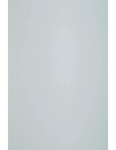 Netuno 10x Pastell Blau Karton DIN A4 21 x 29,7 cm 300g Keaykolour Öko Bastel hochwertig Recycling Feinkarton Premiumkarton farbig für Hochzeit Geburtstag Taufe Jubiläum von Netuno
