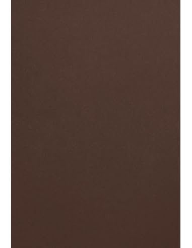 Netuno 10x farbiges Tonpapier Braun DIN A4 21 x 29,7 cm 120g Malmero Tourbe braunes Bastelpapier farbig bedruckbar Farbpapier Kartonpapier bunt Braun-Töne für Broschüren Einladungen Basteln von Netuno