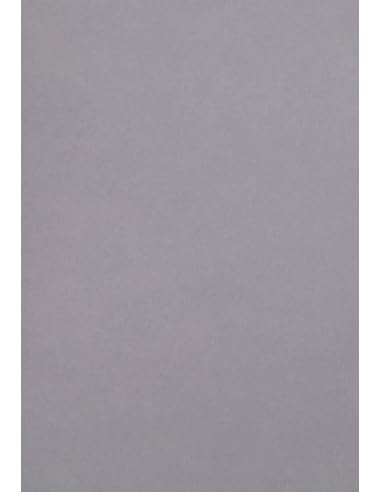 Netuno 10x farbiges Tonpapier Grau DIN A4 21 x 29,7 cm 120g Malmero Schiste graues Bastelpapier farbig bedruckbar Farbpapier bunt Grau-Töne hochwertig für Broschüren Einladungen Basteln Netuno 10x farbiges Tonpapier Grau DIN A4 21 x 29,7 cm 120g Malmero Schiste graues Bastelpapier farbig bedruckbar Farbpapier bunt Grau-Töne hochwertig für Broschüren Einladungen Basteln von Netuno